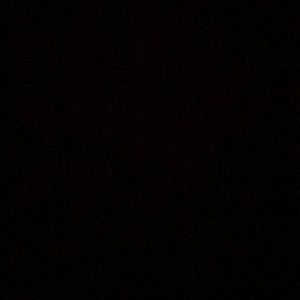 Meet your Posher, Paul